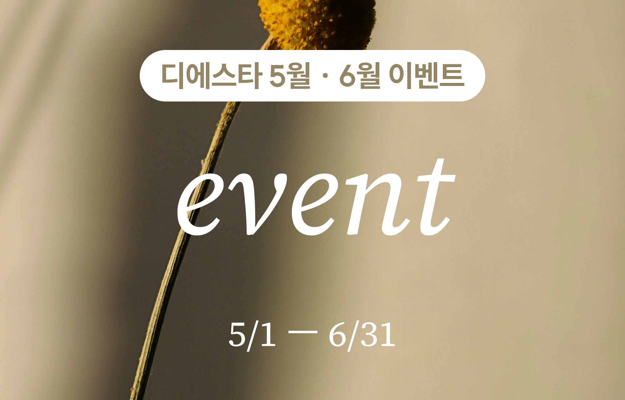 팝업이미지